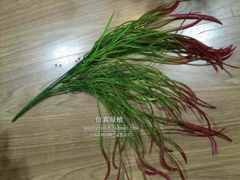 仿真草坪地毯草皮假叶子米兰阳台绿化墙体红尖兰装饰植物背景墙