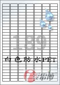 标签纸A4不干胶 白色防水PET塑料标签纸/爱雷博CL589WP/100张A4