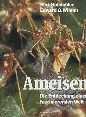 【预订】Ameisen: Die Entdeckung Einer Faszin...