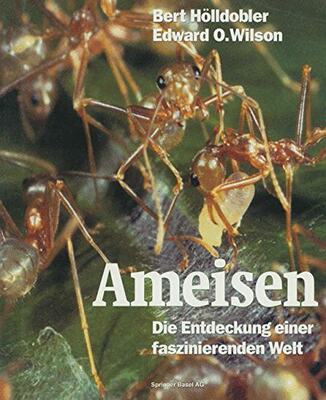 【预订】Ameisen: Die Entdeckung Einer Faszin...