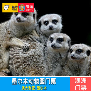 [墨尔本动物园-门票]澳大利亚墨尔本动物园门票Melbourne Zoo