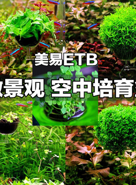 美易ETB 缸内水中盆景水草造景盆缸内微景观 亚克力多种草 籽可选