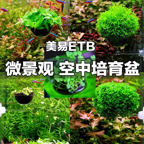 美易ETB 缸内水中盆景水草造景盆缸内微景观 亚克力多种草 籽可选