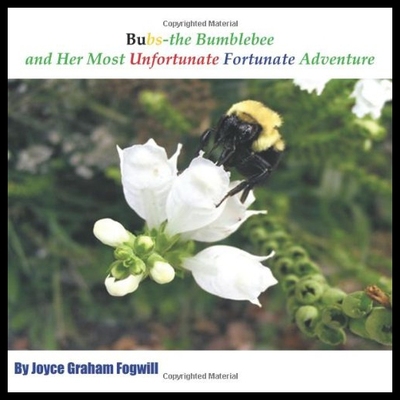 【预售】Bubs the Bumblebee and Her Most Unfortunate Fortu