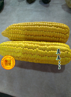 蔬菜仿真天然栩栩如生寿山石