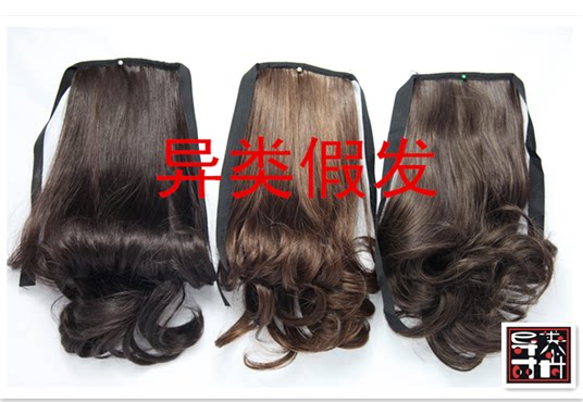 Extension cheveux - Chignon - Ref 249206 Image 1