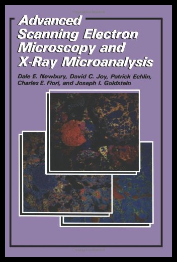 美国库房发货，通常付款后5-8周到货！