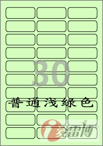 A4不干胶标签纸/普通打印机打印/爱雷博浅绿色标签CL530G-100张