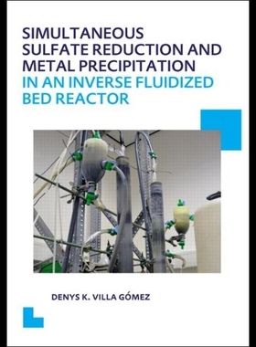 【预售】Simultaneous Sulfate Reduction and Met