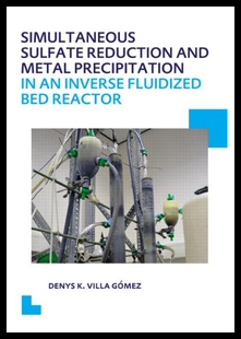 【预售】Simultaneous Sulfate Reduction and Met