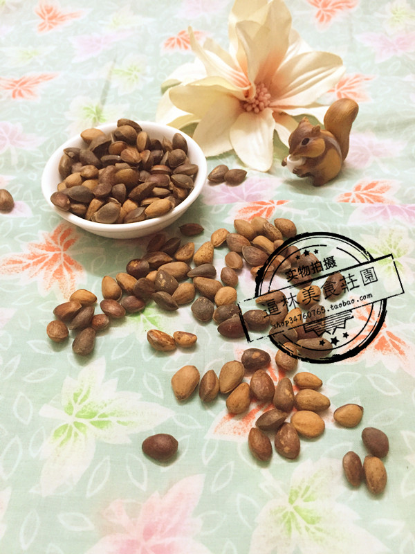 【逼林家】落水松子 生料 松鼠食物 松鼠粮食飞鼠粮食图片