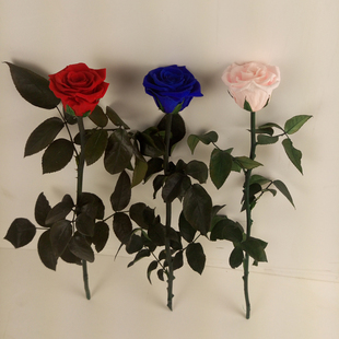 永生花diy材料包单枝玫瑰带叶枝杆保鲜花干花束小王子玻璃罩