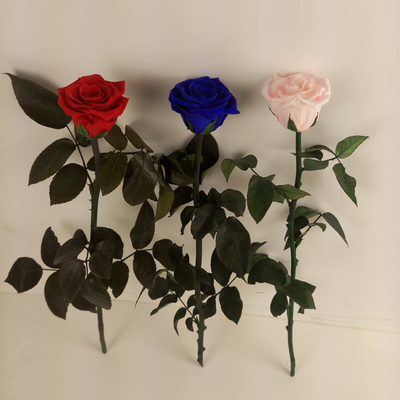 单枝玫瑰diy带叶小王子永生花