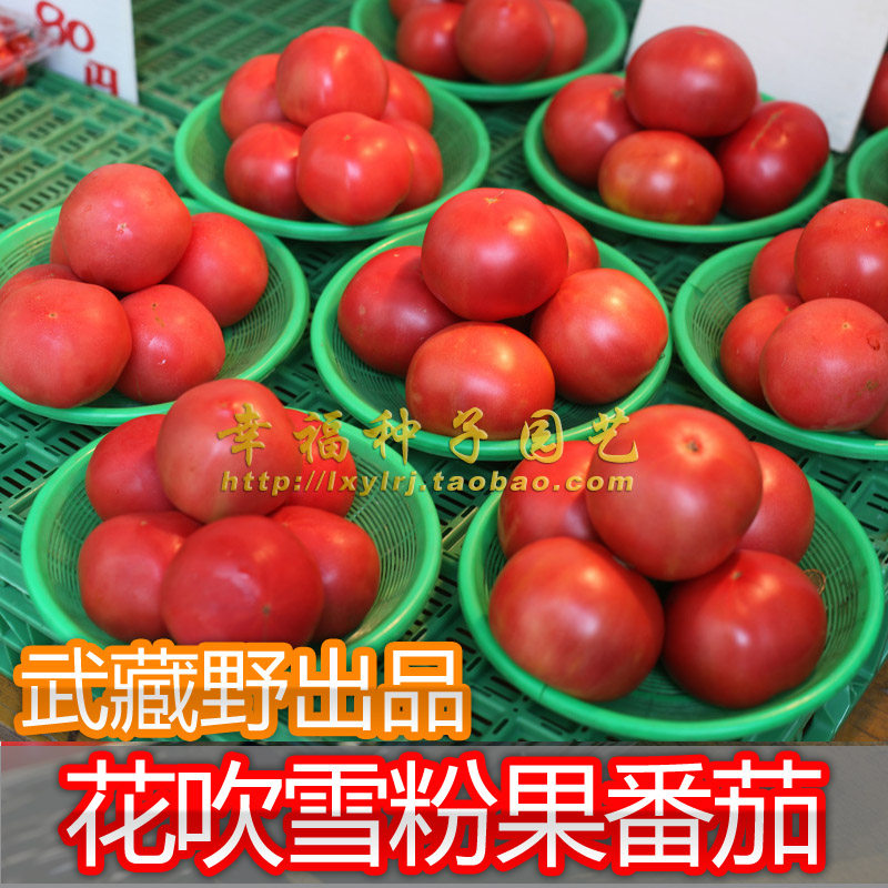 【花吹雪番茄种子】武藏野原种桃太郎粉红果番茄 适宜秋季早春种,鲜花速递/花卉仿真/绿植园艺,家庭园艺种子,淘宝优惠券,粉丝福利购,淘宝优惠卷