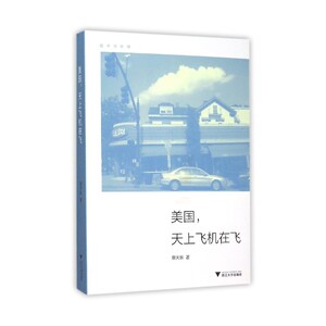 美国，天上飞机在飞