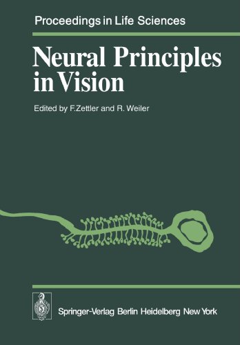 美国库房发货,通常付款后5-8周到货！