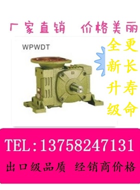 WPWDT/V 50/60/70/80/100/120/135/155/175蜗轮蜗杆 WP变速减速机
