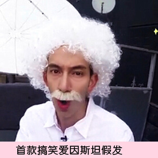 爱因斯坦假发MIKE隋搞怪扮演cosplay爆炸头加胡子老爷爷白色头套