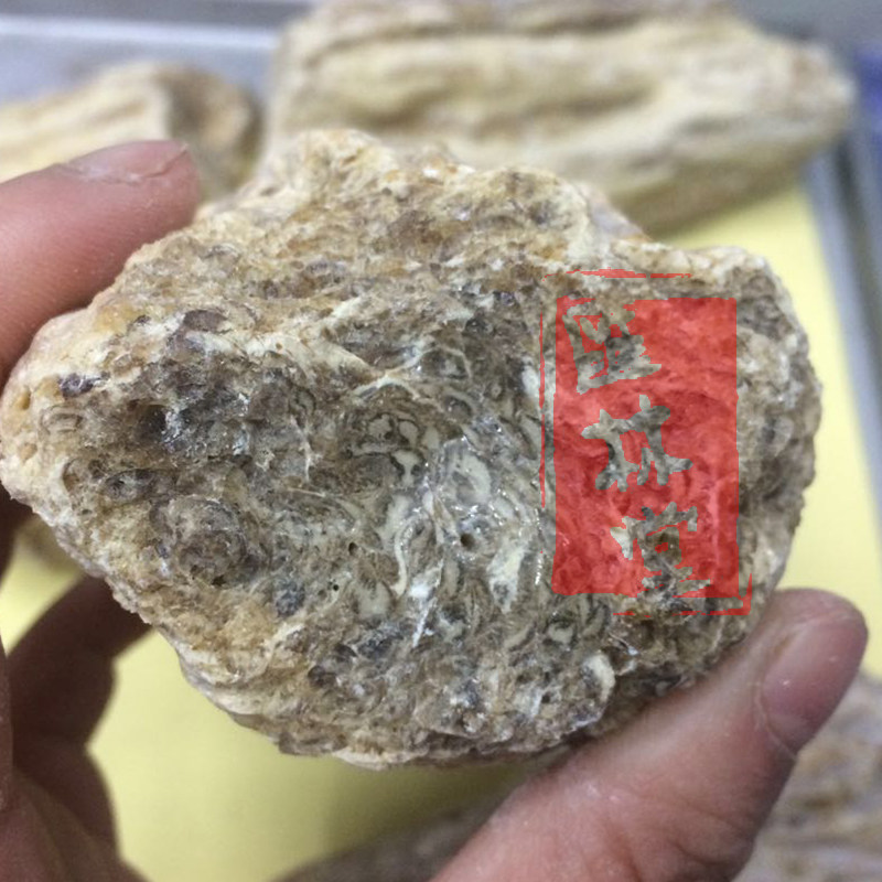 野琥珀块 琥珀粉 松 煤珀 优质天然原矿大块500克