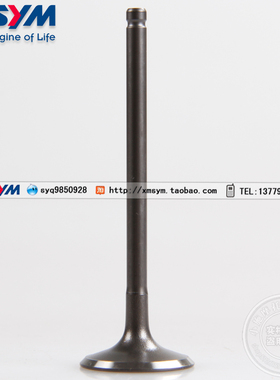 小钢炮/侠JP150XS150T-7-8-2A悍将S凤凰GR150巡弋180ST175进气门