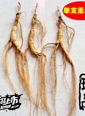 长白山林下参泡酒单只真空包装