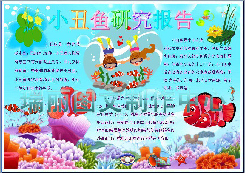 海洋里的小丑鱼彩色小报科学研究调查报告手抄报观察日记模板896