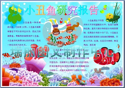 海洋里的小丑鱼彩色小报科学研究调查报告手抄报观察日记模板896
