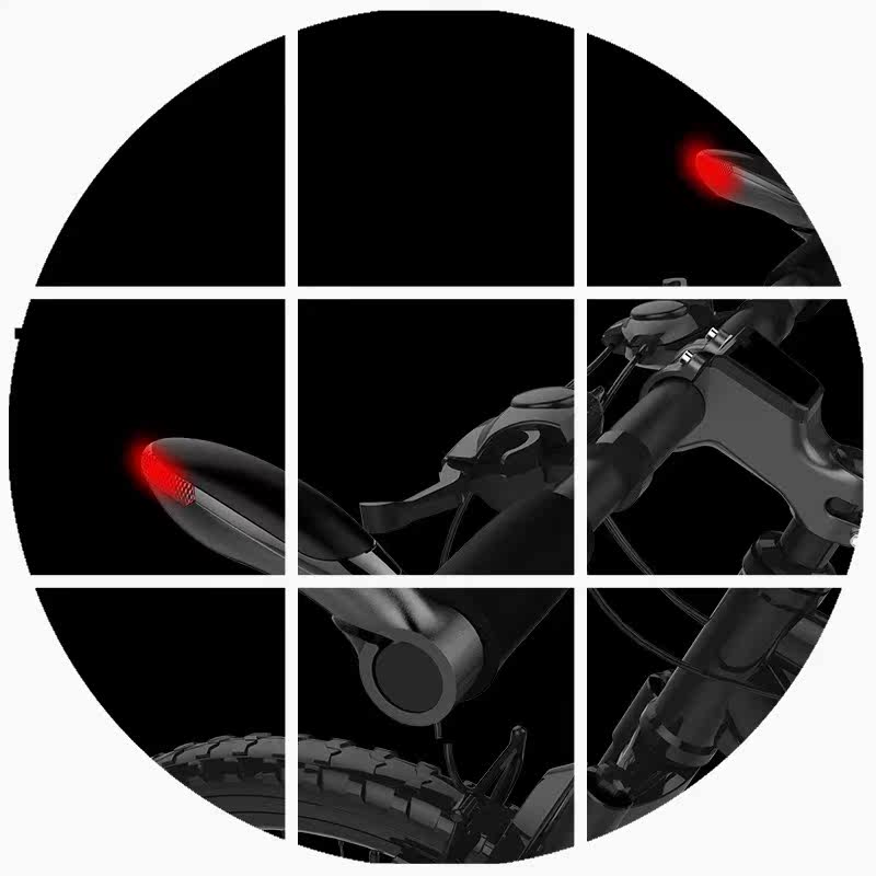 Poignées de vélo PHOENIX - Ref 2342311 Image 1