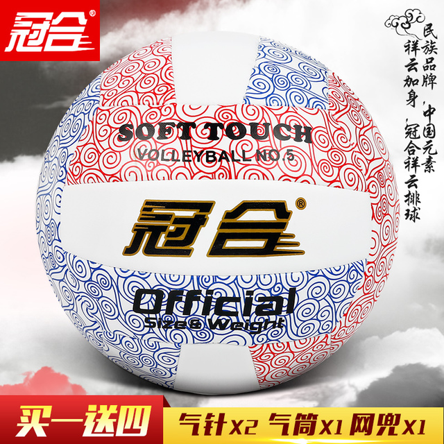 Ballon de volley - Ref 2016713 Image 1