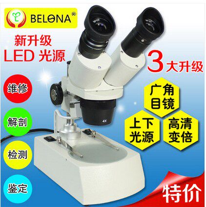 双目体视显微镜20/40X/80X变倍LED上下光源珠宝鉴定手机维修