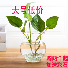 Nhựa hoa nồi lớn dày treo phong lan trắng xanh bình màu xanh hoa hoa nồi hoa khung mùa xuân Lin đích thực bình gốm cắm hoa đào