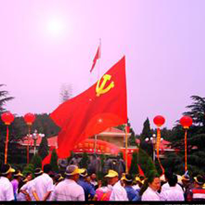 党旗团旗2号3号4号5号 手挥旗帜室内室外挂旗