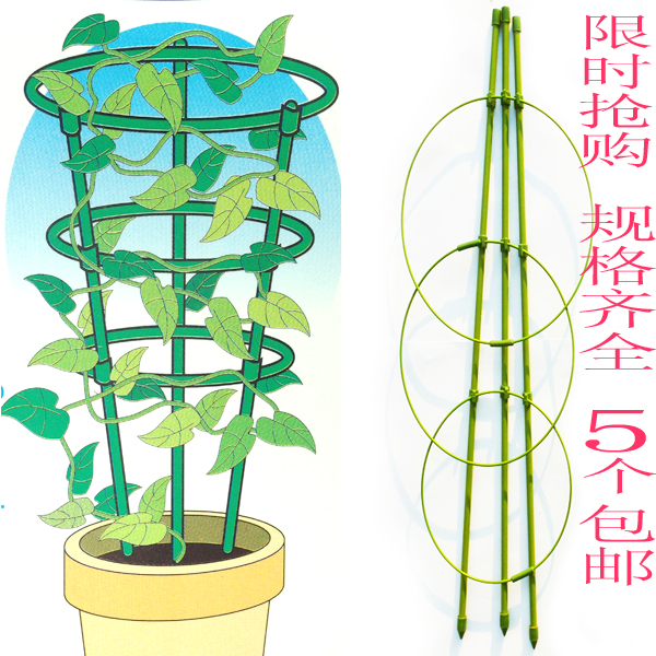 5个包邮爬藤支架 铁线莲爬藤架 包塑铁环攀爬花架 爬藤植物花支柱|ruв категории доставка цветов/цветок моделирования/растения садоводства, садовых принадлежностей, других садовых принадлежностей - от Buy2taobao.com для оказания профессиональной услуги покупки агента Taobao