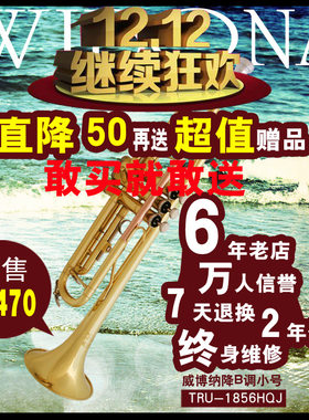 乐器降B调小号三音吹奏