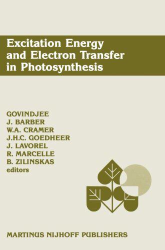 【预订】Excitation Energy and Electron Trans...