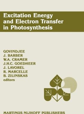 【预订】Excitation Energy and Electron Trans...