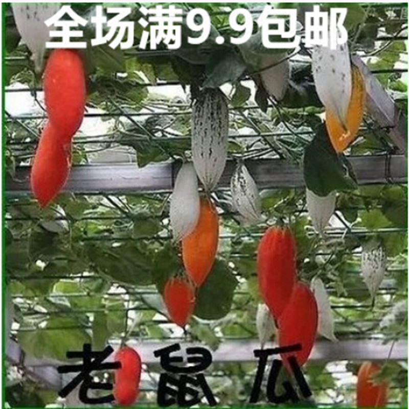 ³å¹Ú´ó´ÙÏú