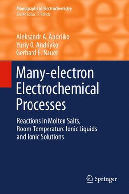 【预订】Many-electron Electrochemical Processes