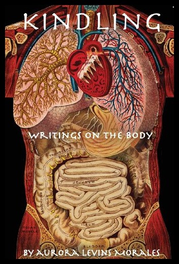 【预售】kindling: writings on the body