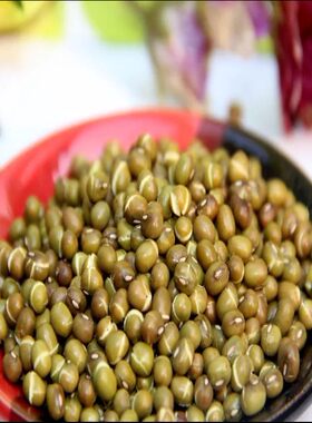 南县淘淘乐炒货系列炒制500g绿豆
