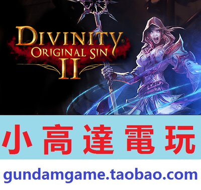 PC正版/神界：原罪2/Divinity: Original Sin 2/Steam数字中文版