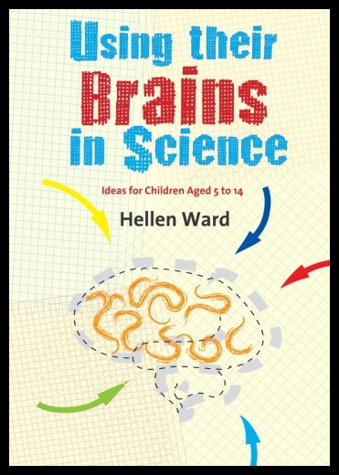 美国库房发货，通常付款后5-8周到货！