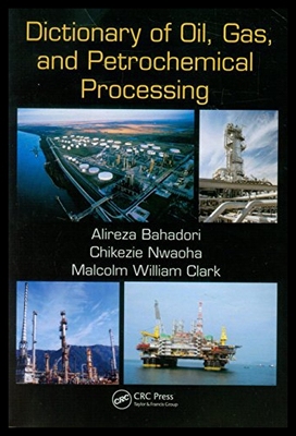 【预售】Dictionary of Oil, Gas, and Petrochemical Process