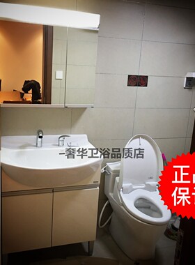 TOTO家具抽拉龙头DL319C2 白色浴室柜LDSW753W 带灯镜柜LMAW752DR