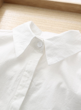 2022春秋装韩版小清新文艺纯色白衬衫女学生职业百搭修身打底衬衣