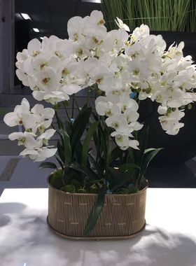 别墅会所软装仿真花蝴蝶兰摆件