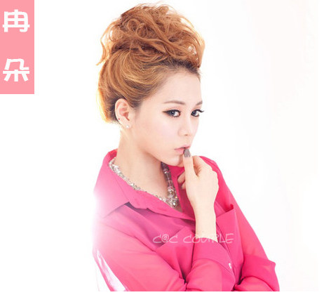 Extension cheveux - Chignon - Ref 247850 Image 1