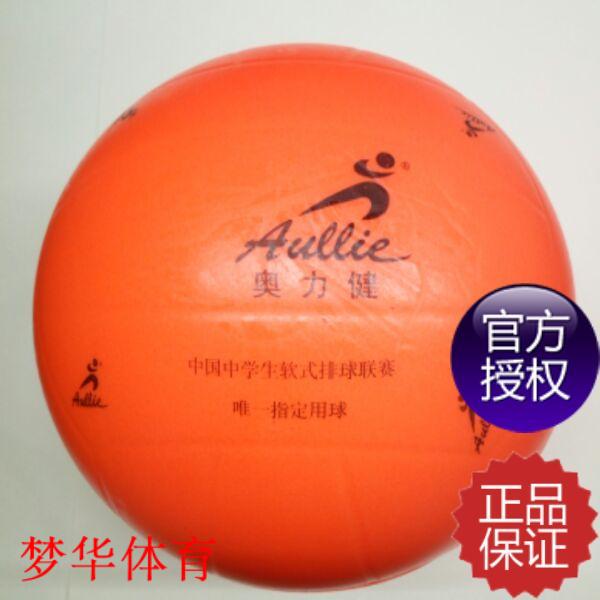 Ballon de volley - Ref 2013864 Image 1