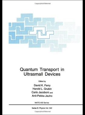 【预售】Quantum Transport in Ultrasmall Device