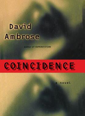 【预售】Coincidence